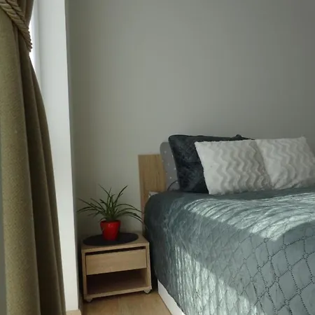 Elzbietos Centro Apartamentai Апартаменти Вільнюс