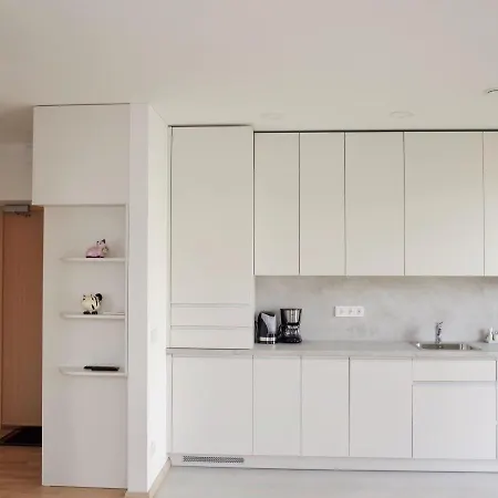Elzbietos Centro Apartamentai * Вільнюс