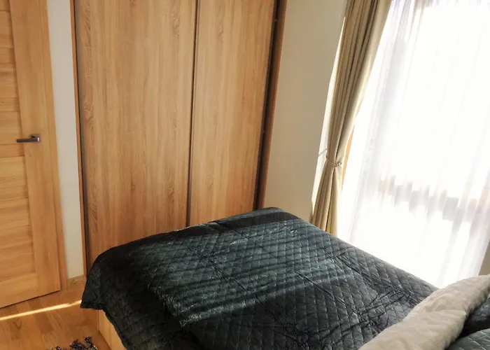 Butas Elzbietos Centro Apartamentai