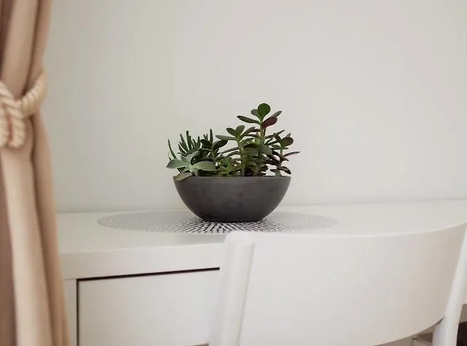 Elzbietos Centro Apartamentai Butas *