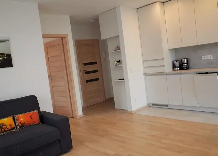 公寓 Elzbietos Centro Apartamentai *