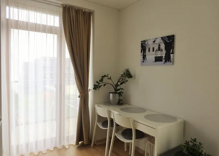 Elzbietos Centro Apartamentai Butas Vilnius