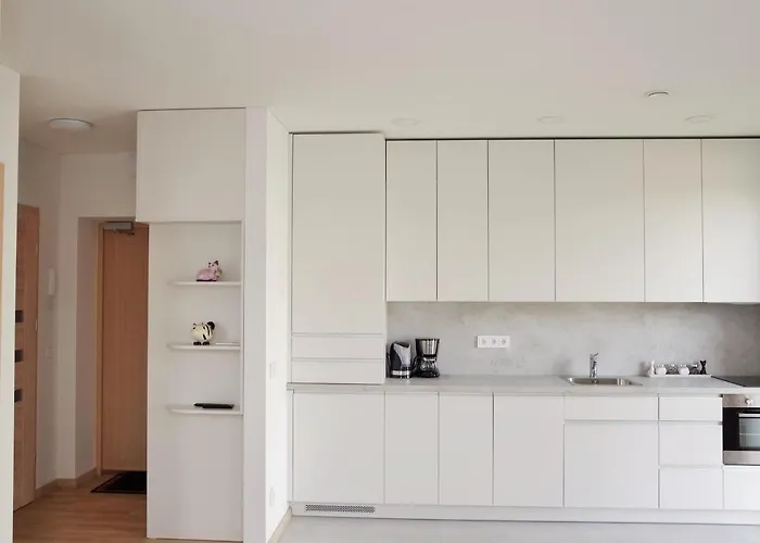 Elzbietos Centro Apartamentai * Wilna