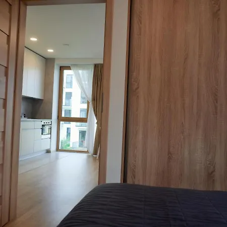 アパート Elzbietos Centro Apartamentai ヴィリニュス