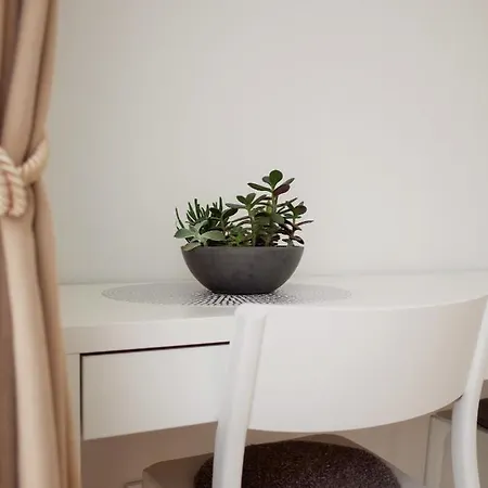 Elzbietos Centro Apartamentai 公寓 *